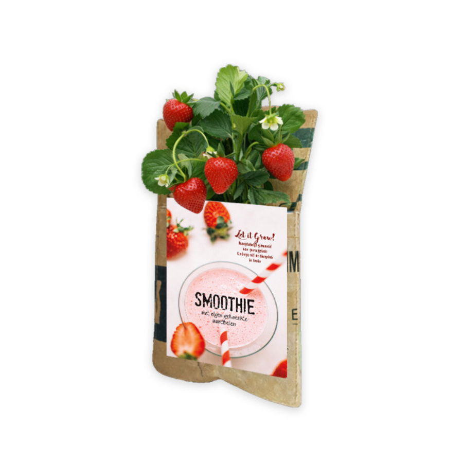 Kerstpakket Bewuste Smoothie to Go